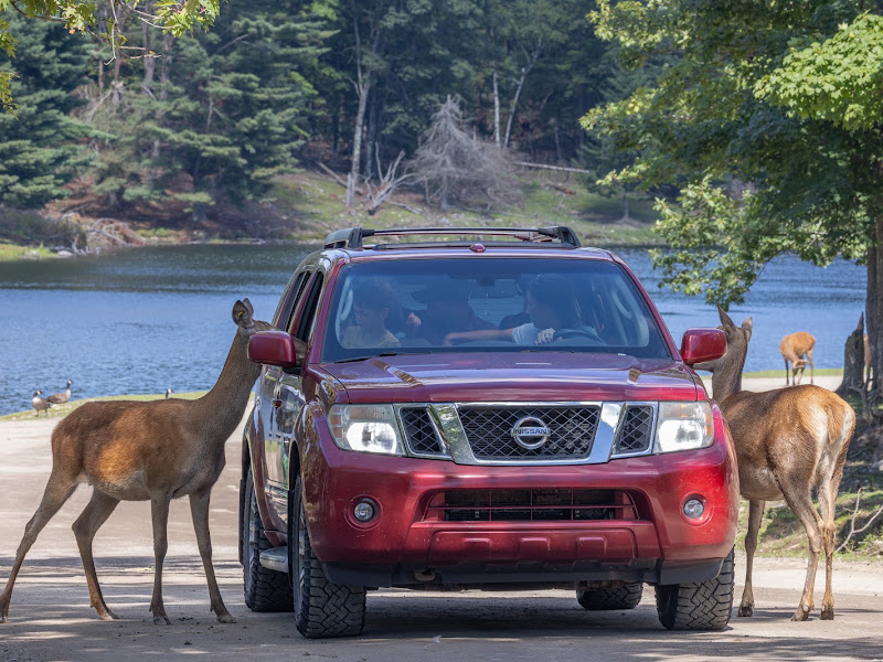Omega Park