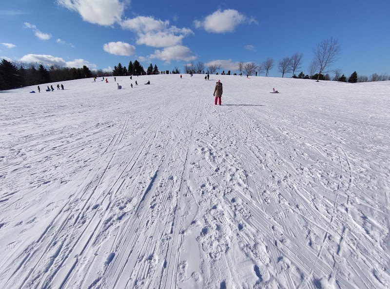 L'Amoreaux Toboggan Hills