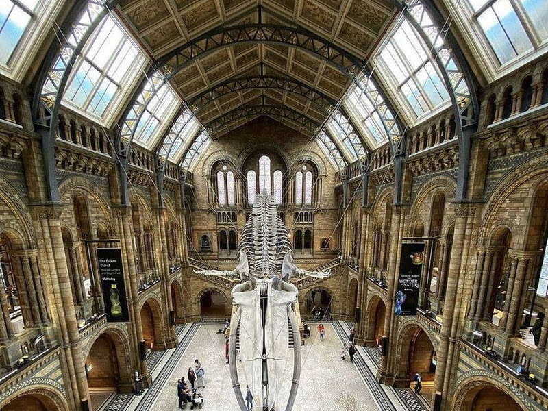 Natural History Museum