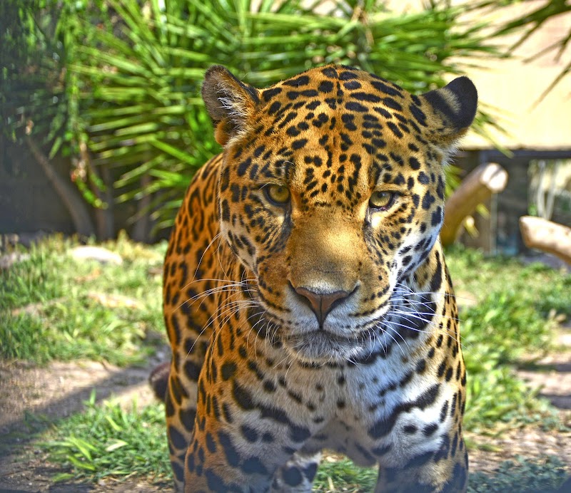 Terra Natura