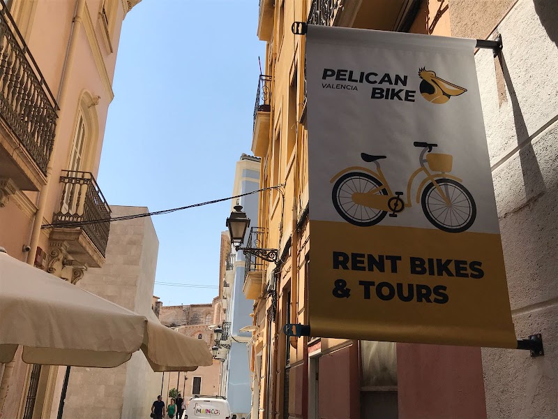 Rent bike Pelican Reina / Tours Pelican Reina / Fietsverhuur Pelican Reina