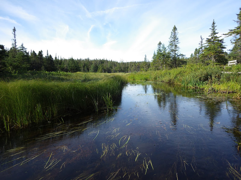 Salmonier Nature Park