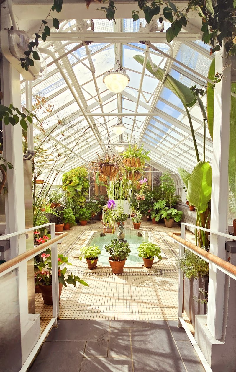Westmount Conservatory and Greenhouses