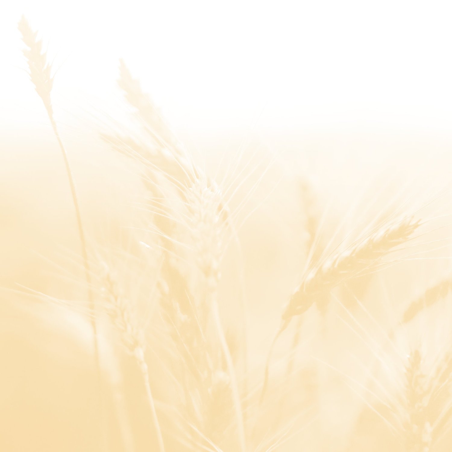 Winkler Harvest Festival