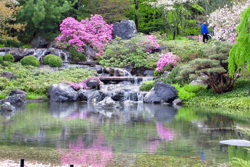 Jardín Japonés