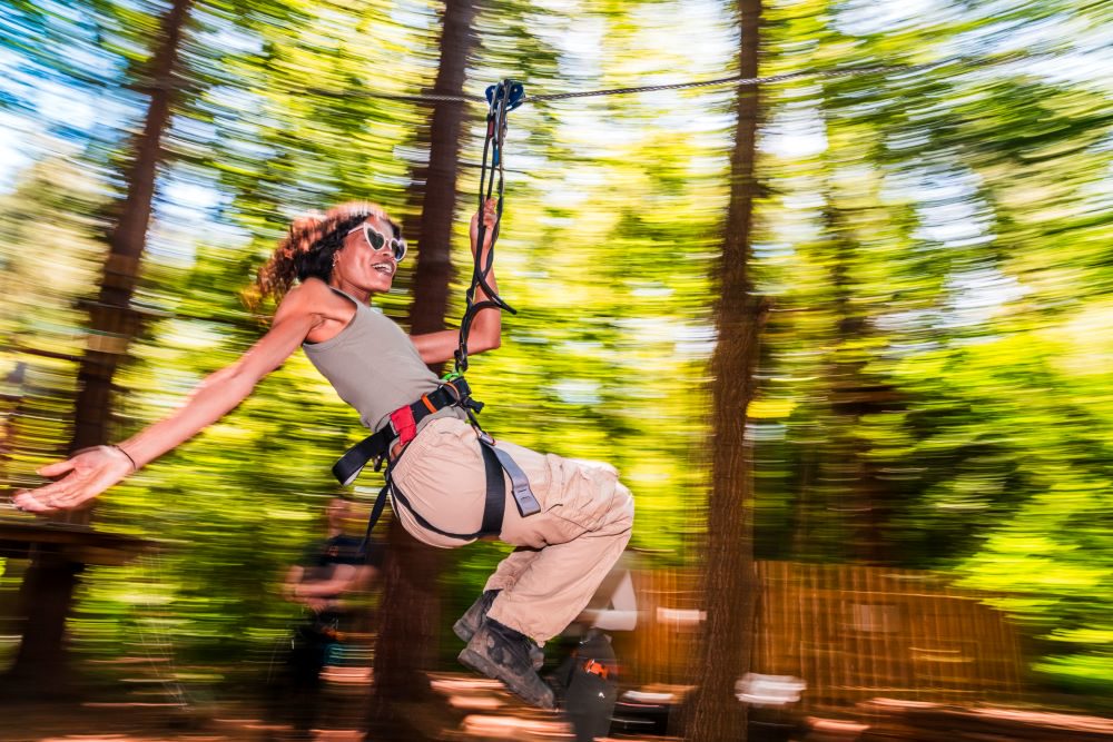 Go Ape Haldon