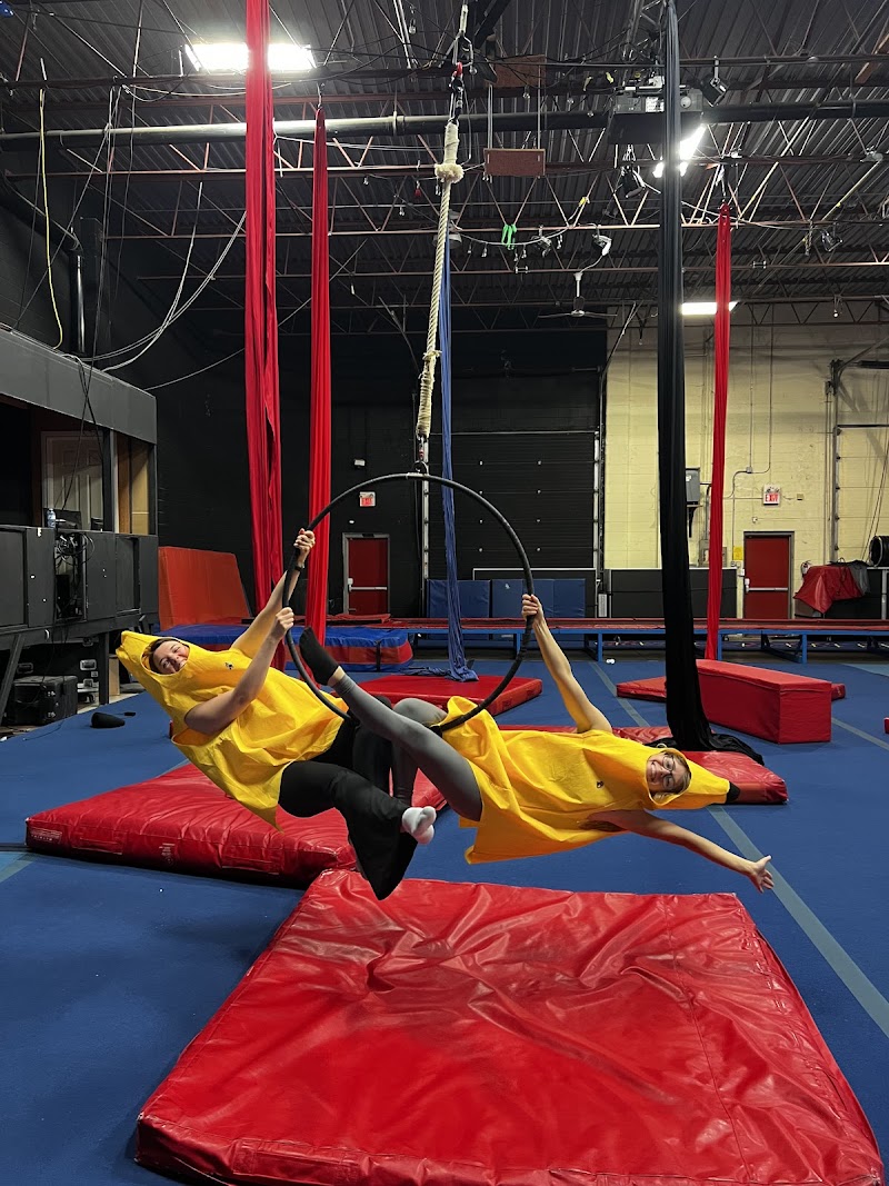 Zacada Circus School & Ninja Warrior