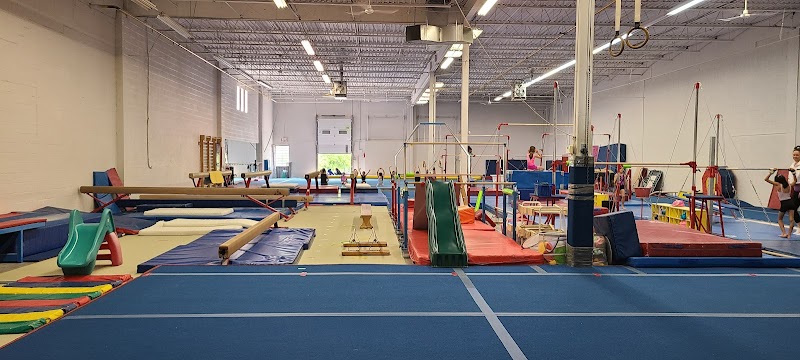 Discovery Gymnastics