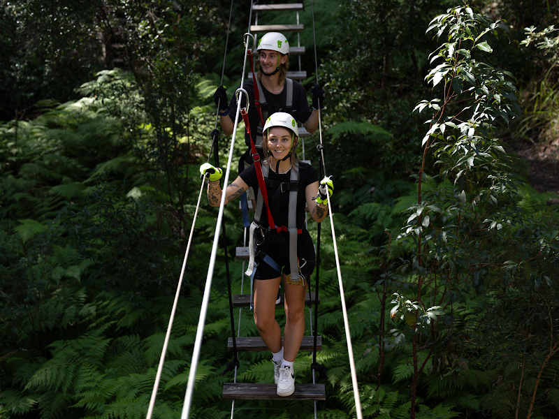 TreeTop Challenge - Adrenaline Park Mt Tamborine