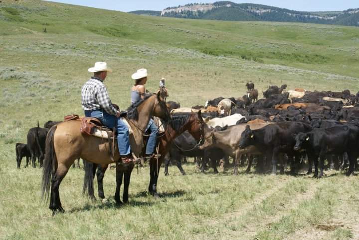 Ranch Texas