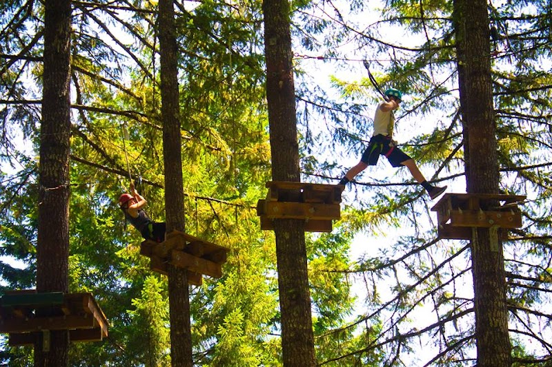 Treetop Trekking Stouffville