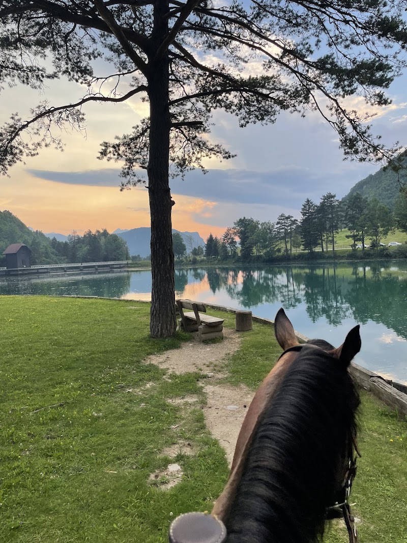 Horse riding Zima