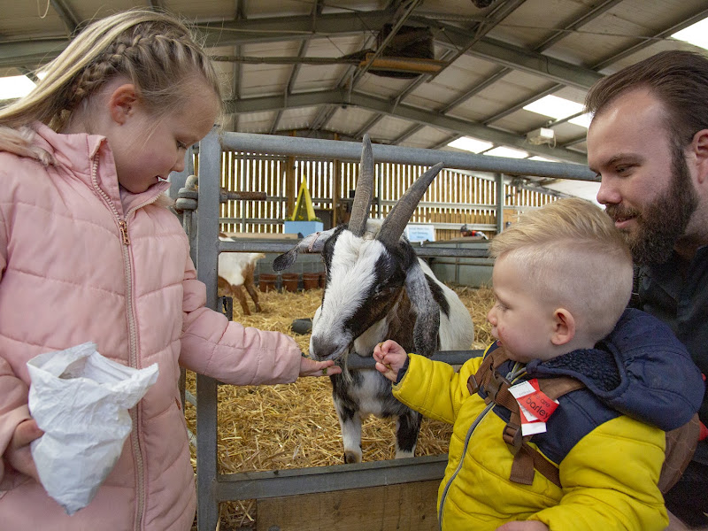 Barleylands Farm Park