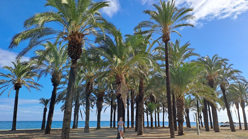 Playa de los Álamos
