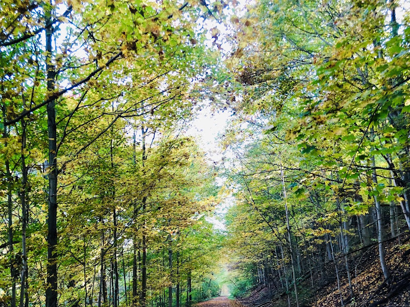 Cambridge to Paris Rail Trail - Paris Trailhead