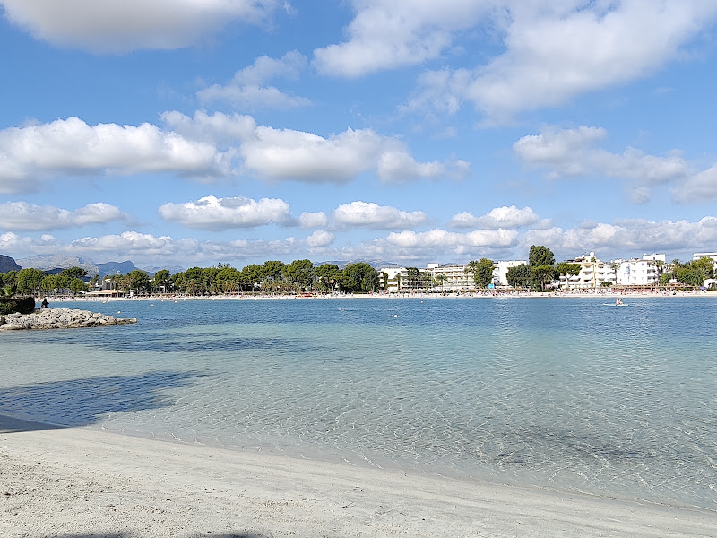 Alcúdia