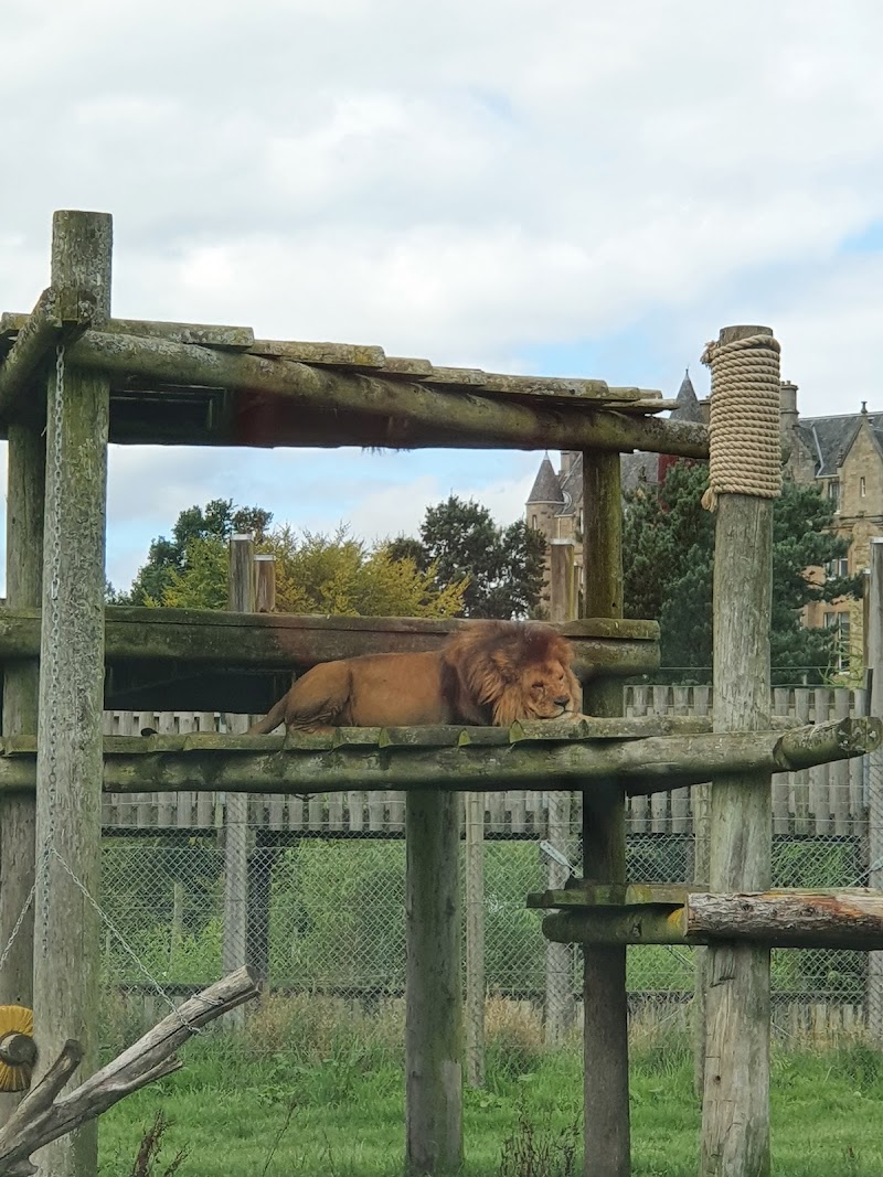 Blair Drummond Safari Park