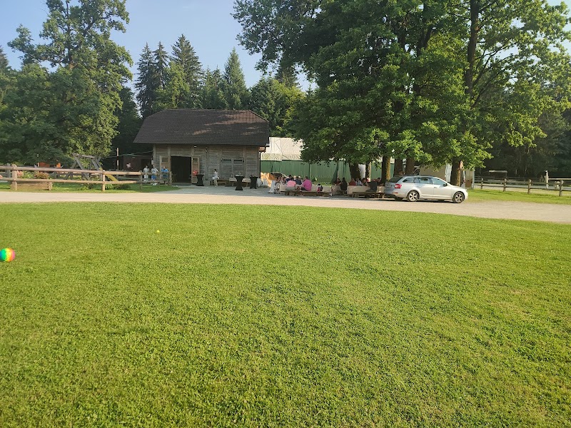 Konjeniški klub Novo mesto