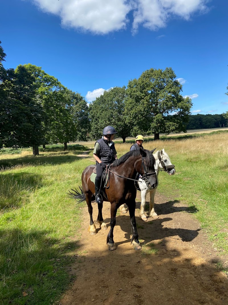 Stag Lodge Stables