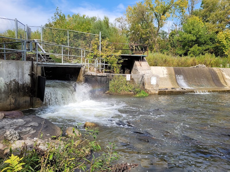 Bowmanville Creek Fish Ladder