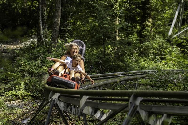 Zip World Fforest