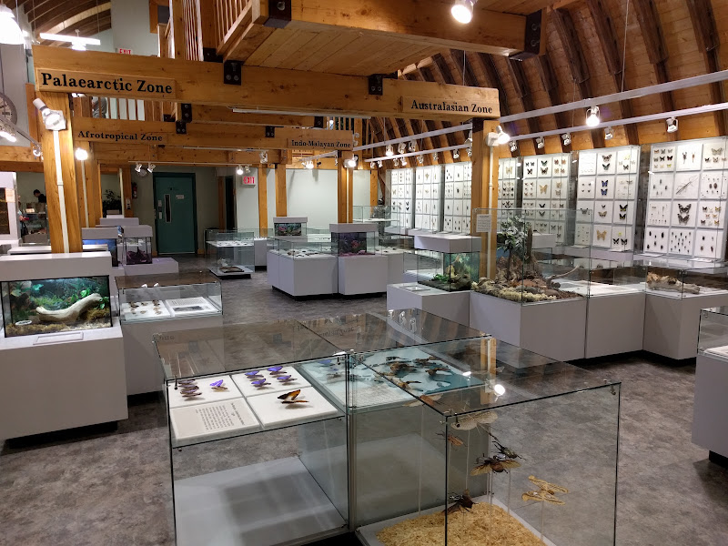 Newfoundland Insectarium