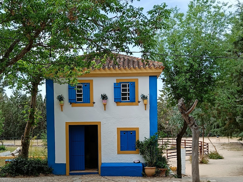 Farm School The Alamo