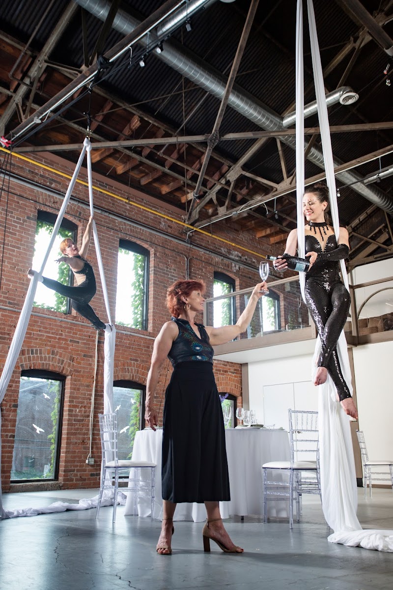 Artists' Play Dance and Circus Arts