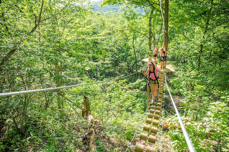 Treescape Aerial Adventure Park