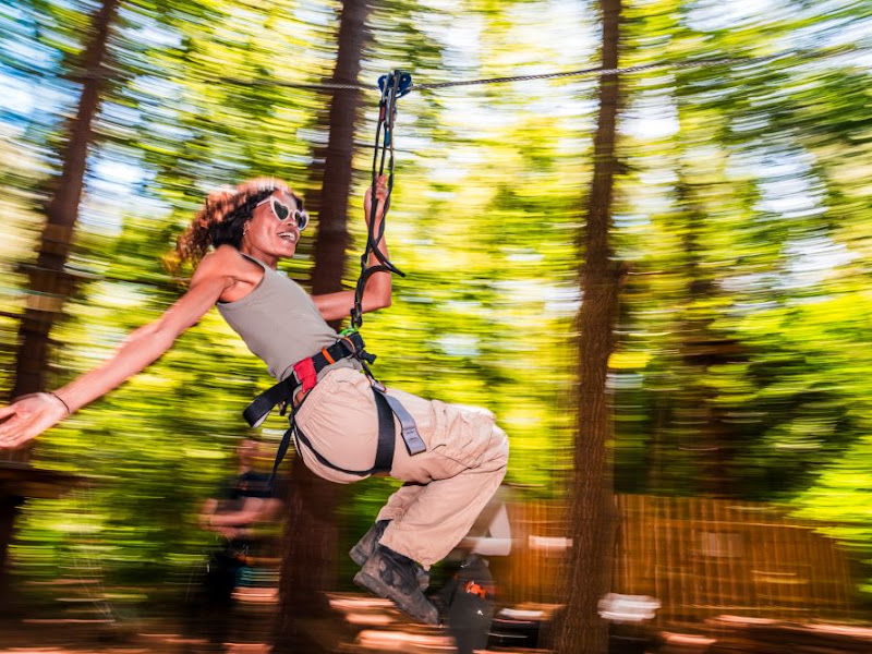 Go Ape Haldon (Treetop Challenge, Zip Lines, High Ropes)
