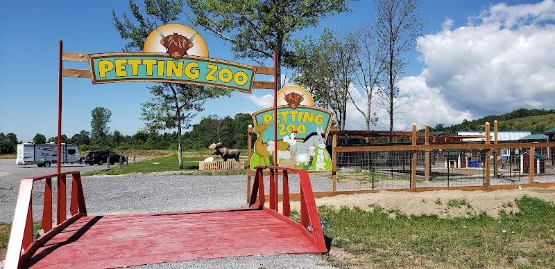 The Big Apple Petting Zoo