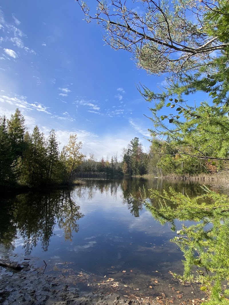 Scout Tract York Regional Forest